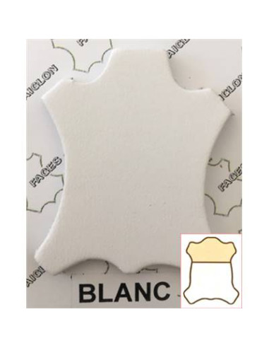 COLLET PLONGE MUSTANG 18/20 1° chx BLANC