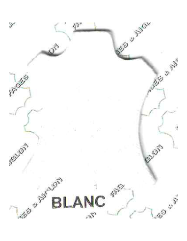 CHEVREAU GLACE ARTIS 1° chx BLANC 06/08